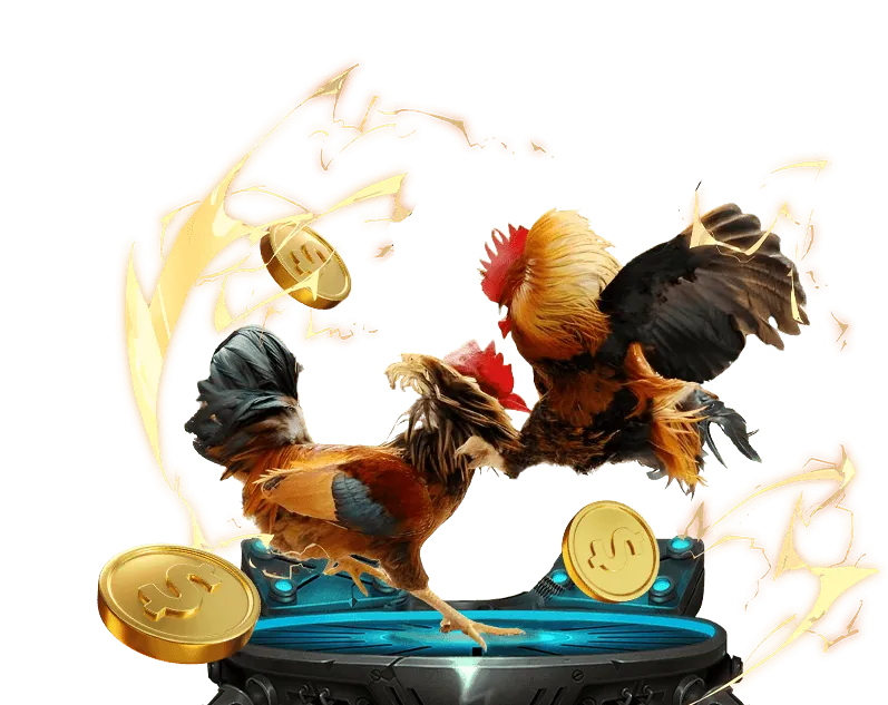 Hoàn Trả Hàng Ngày Thể Thao